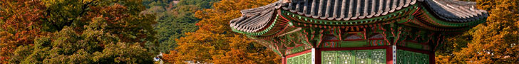 banner homepage