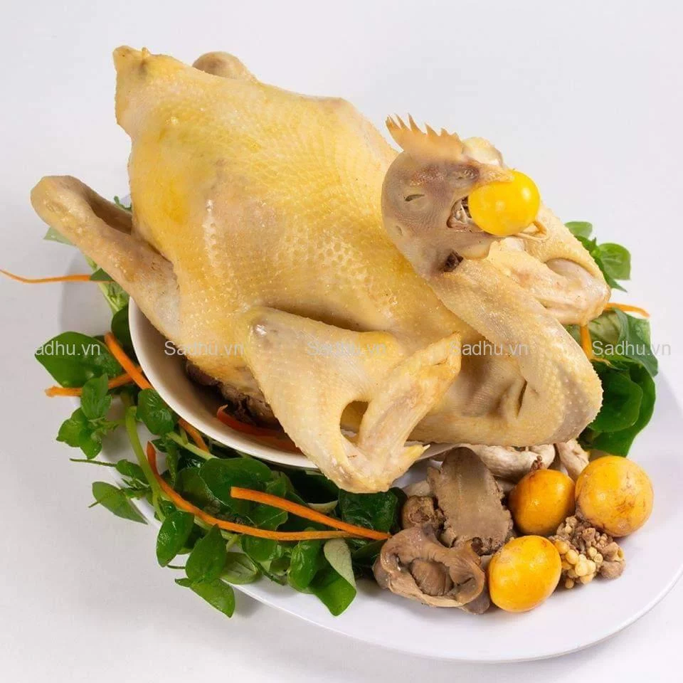 anh-ga-cheo-canh-cung-le_091349618-jpg