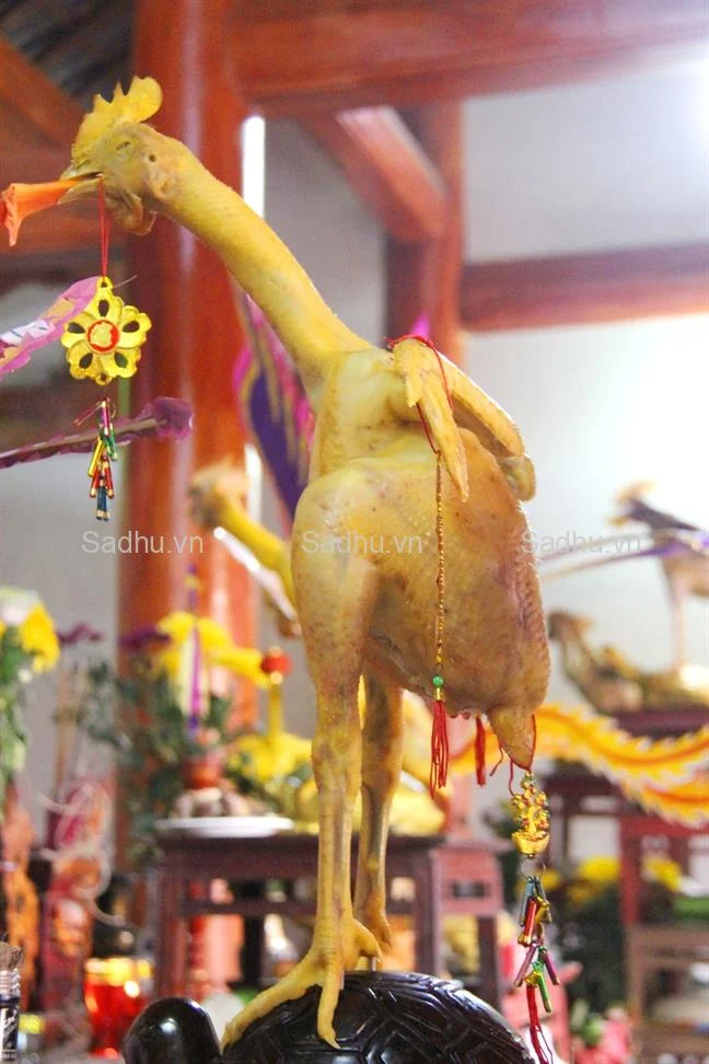 anh-ga-cung-le-dinh-chua_091348044-jpg