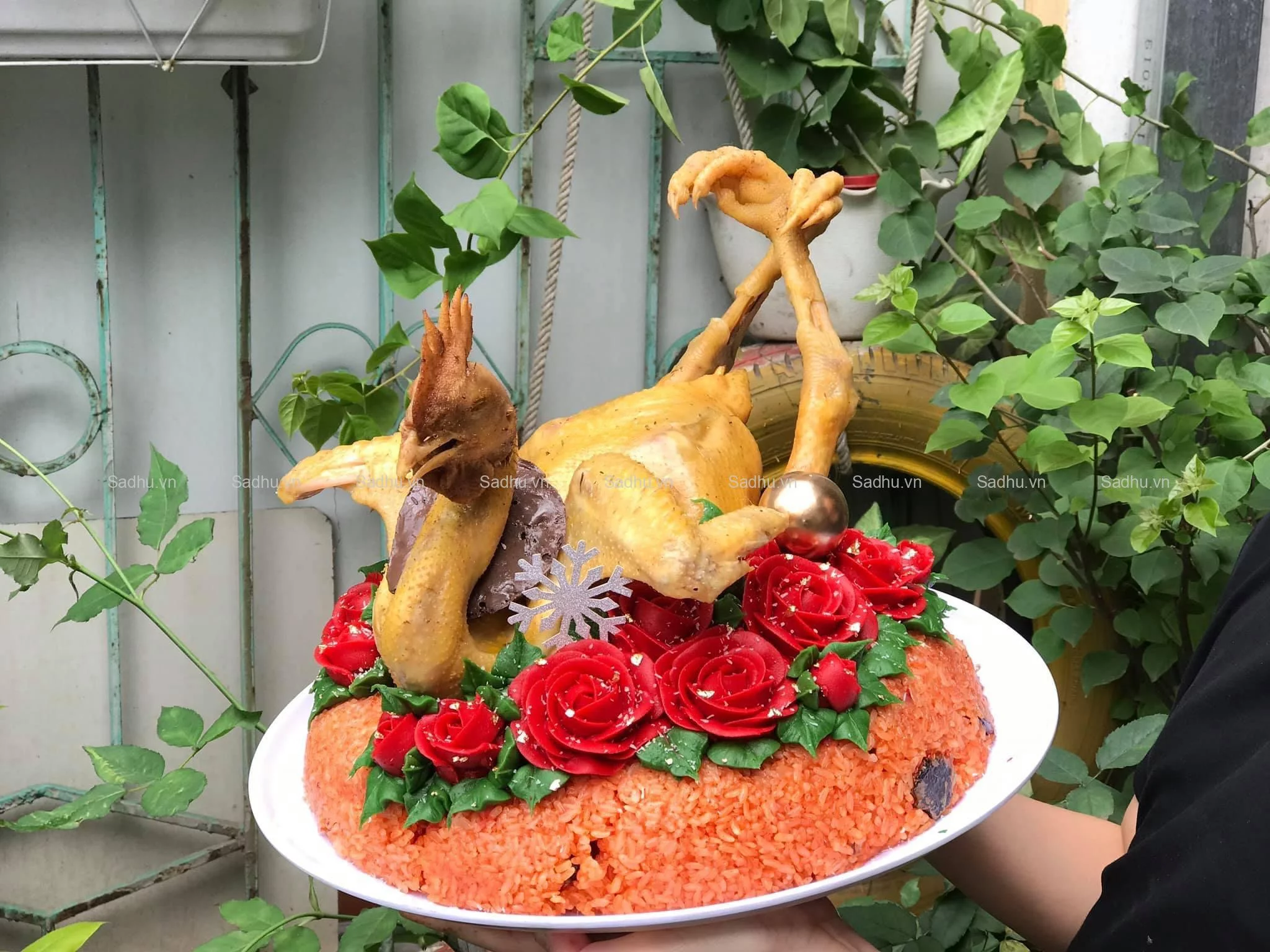 anh-ga-cung-mam-xoi_091349255-jpg