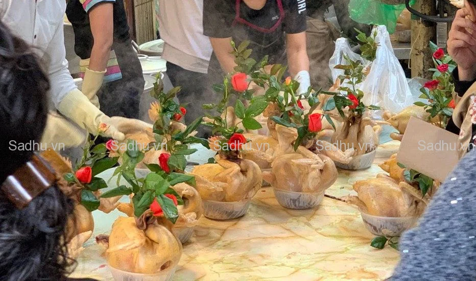 hinh-anh-ga-cung-le-bo-canh-dep_091351185-png