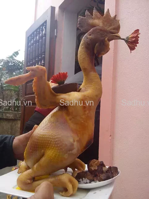 hinh-anh-ga-cung-le-dep_091352361-png