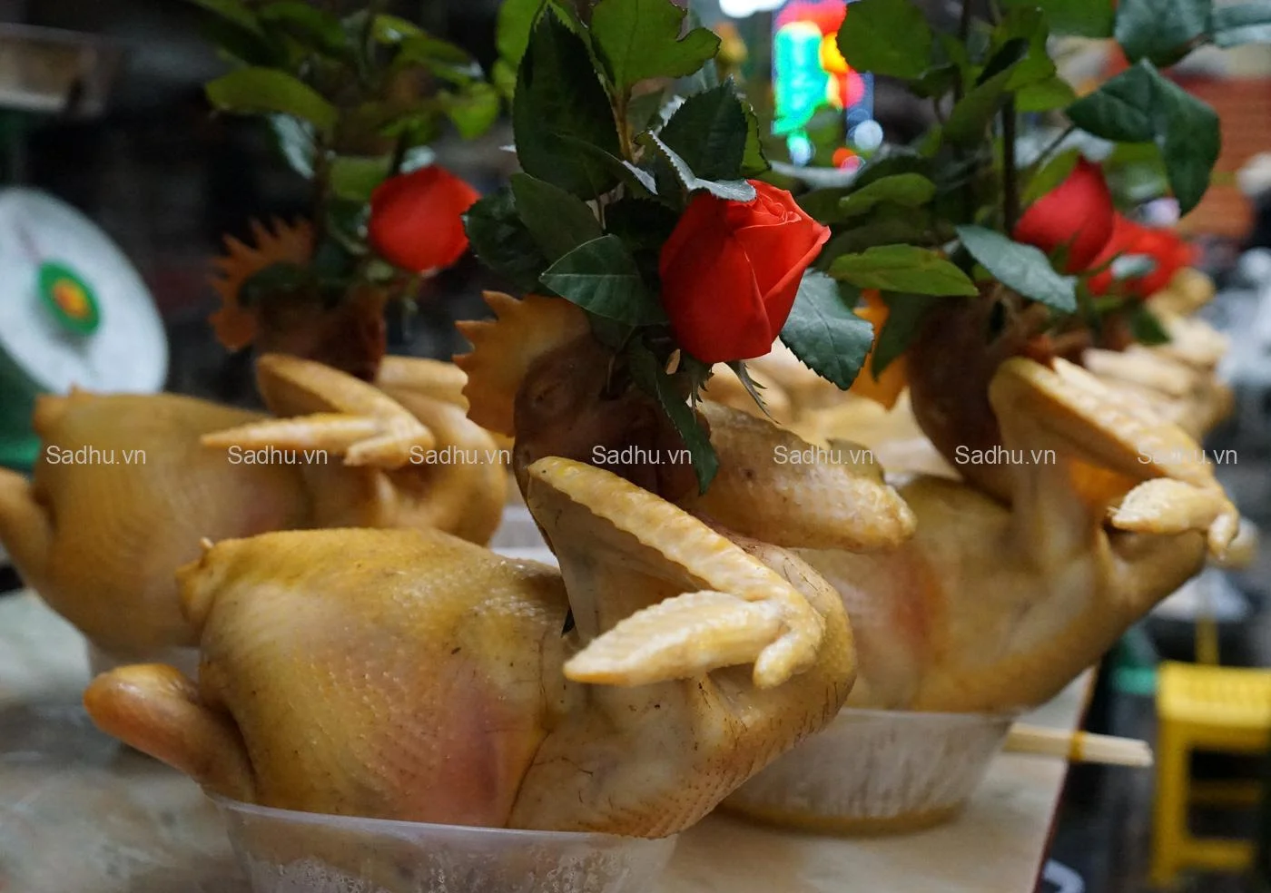 hinh-anh-ga-cung-ngam-hoa-hong_091354390-jpg