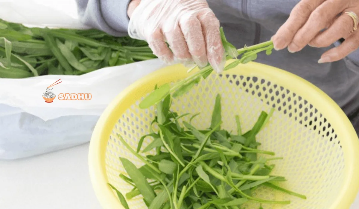 so-che-rau-muong-png sơ chế rau muống